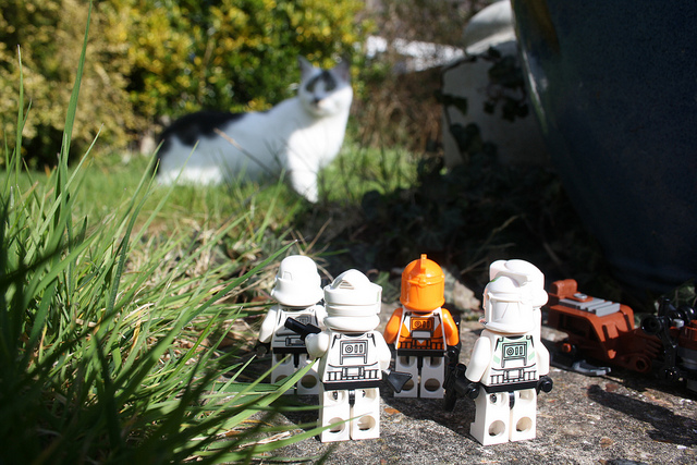 Photo Via Chris Isherwood on Flickr